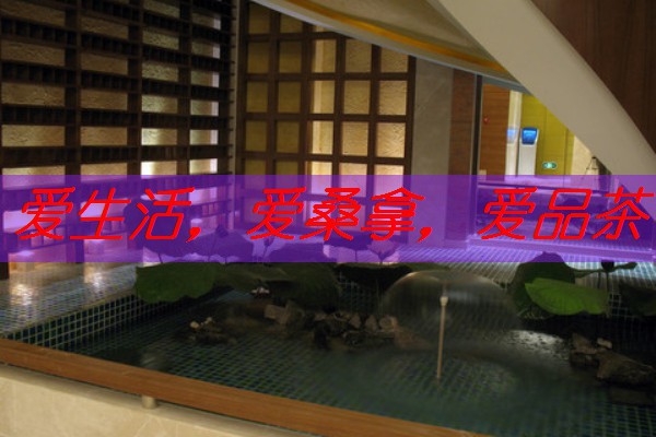 南宁spa按摩论坛技师：为您的健康保驾护航-南宁spa正规吗