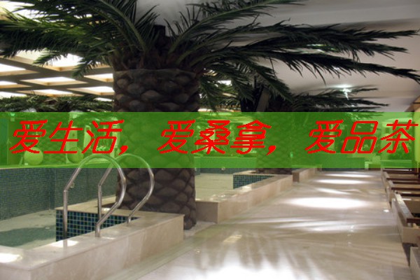 南宁桑拿网论坛：一站式桑拿服务信息平台
